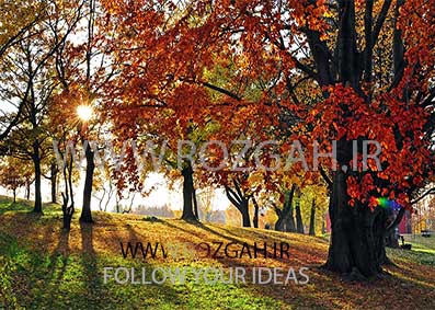Herbststimmung