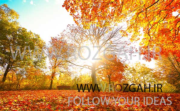 Bunte Herbststimmung