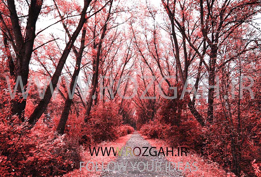 ۲۵۶۹۲.۱